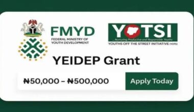 FG YEIDEP ₦500K Grant 2025 Batch B: Everything You Need to Know and How to Apply