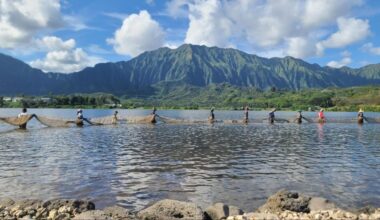 Traditional Hawaiian fishponds show resiliency to climate change, study shows : Big Island Now