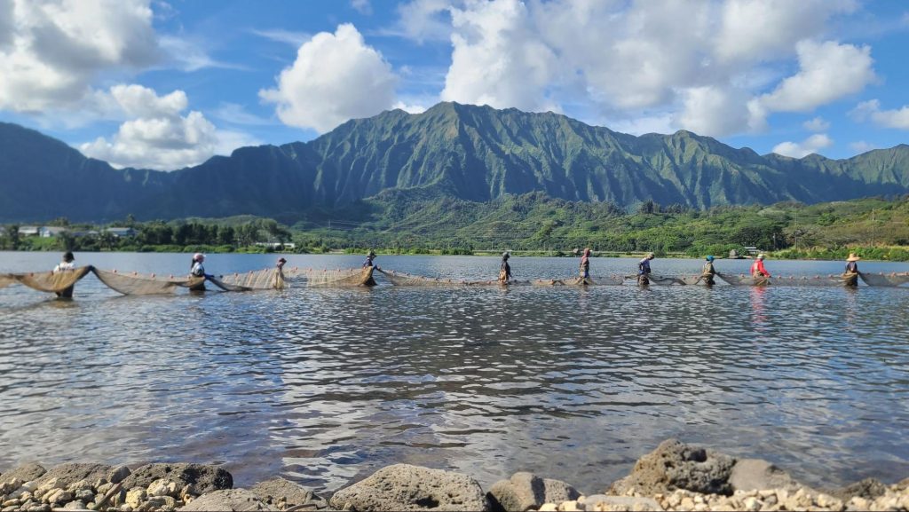 Traditional Hawaiian fishponds show resiliency to climate change, study shows : Big Island Now