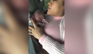 Indiana doctor, nurse who discharged woman in labor fired – NBC Chicago