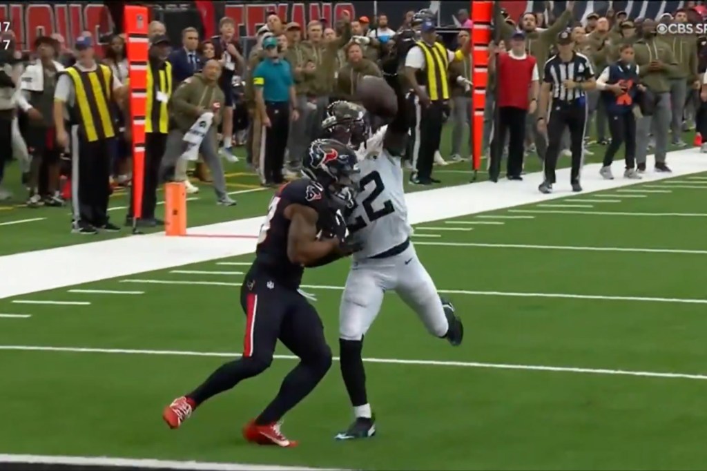 Jarrian Jones was called for pass interference during the Jaguars' win over the Texans on Nov. 9.