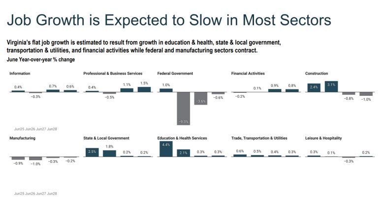 Viginia's projected job growth by sector. From presentation to Senate Finance Committee. 