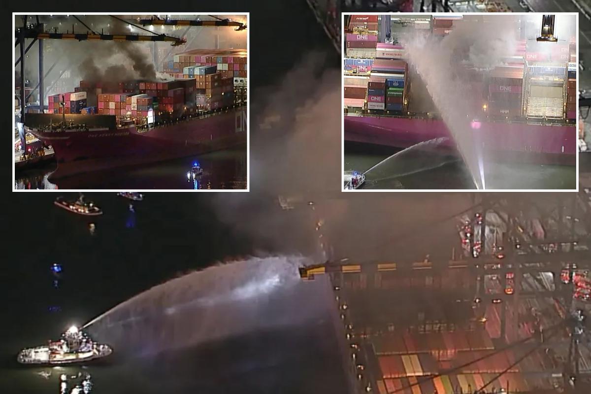LA firefighters battle blaze on container ship carrying hazardous materials at port