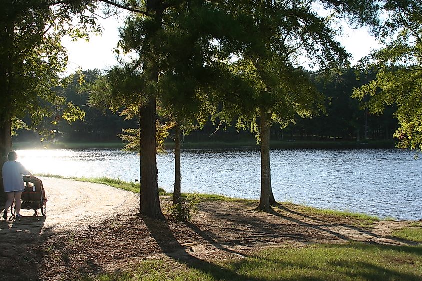 Lake Lincoln State Park, Mississippi.