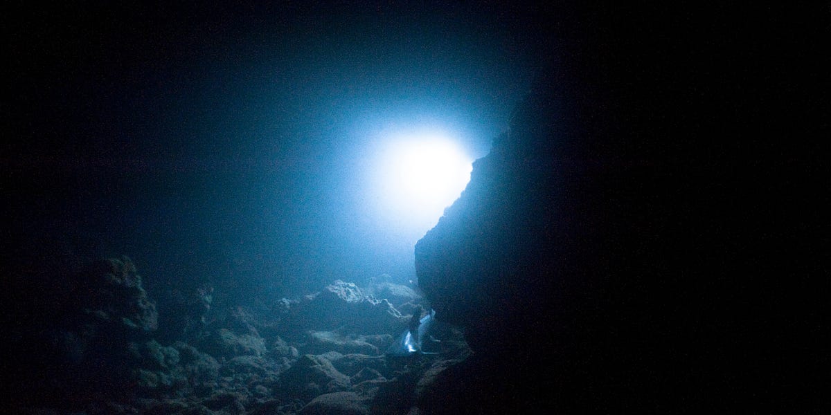 New Predator Emerges From the Deepest, Darkest Part of the Ocean