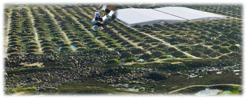 LHAASO uncovers mystery of cosmic ray "knee" formation