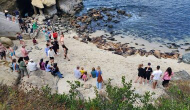 Coastal Commission to hear update on ‘management strategies’ for La Jolla Cove – San Diego Union-Tribune