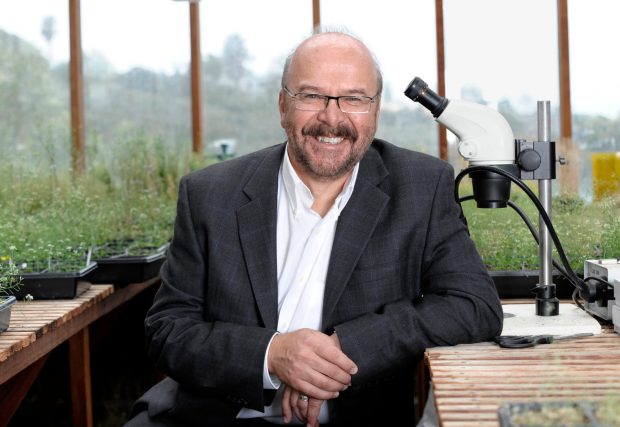 Salk Institute for Biological Studies researcher Joseph Ecker has been awarded the Barbara McClintock Prize for Plant Genetics and Genome Studies. (Salk Institute)