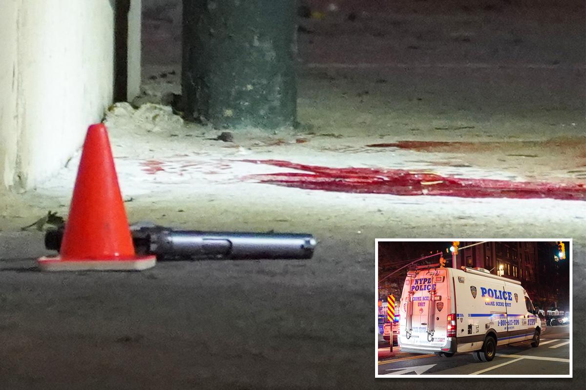 Man shot dead by NYPD in Manhattan after allegedly threatening New Yorkers with gun: sources