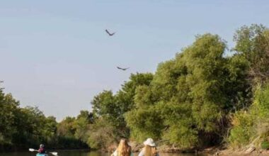 Booming Mansfield named No. 6 best Texas city to move to