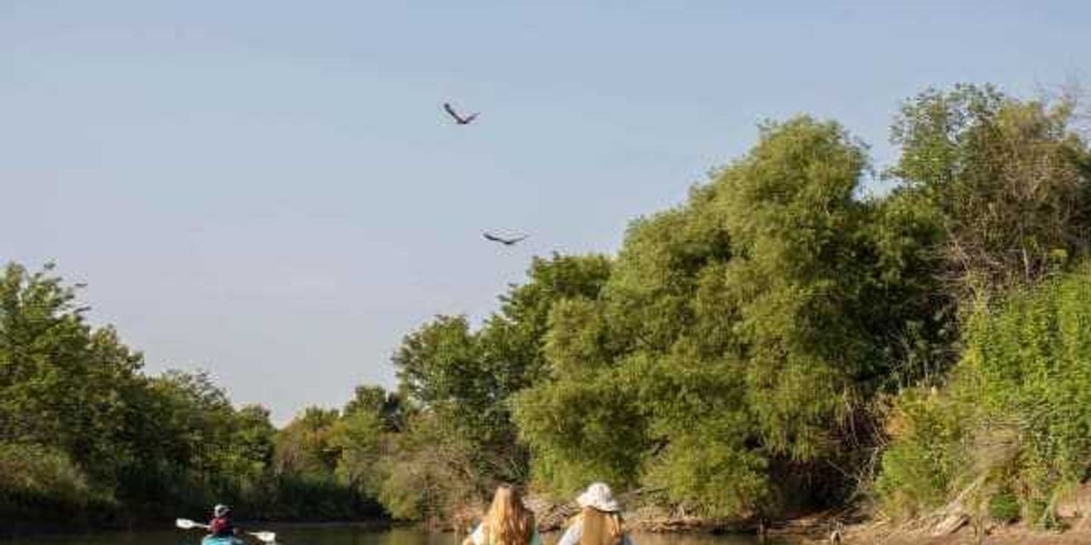 Booming Mansfield named No. 6 best Texas city to move to