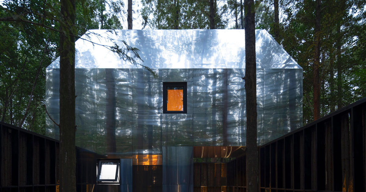 wiki world's treehouse cluster hides among forest in china