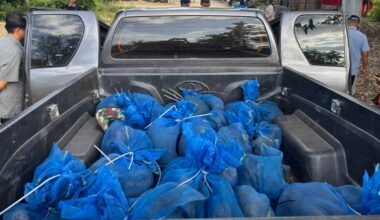 81 monkeys and meth found in car driven by suspected wildlife smugglers, rangers in Thailand say
