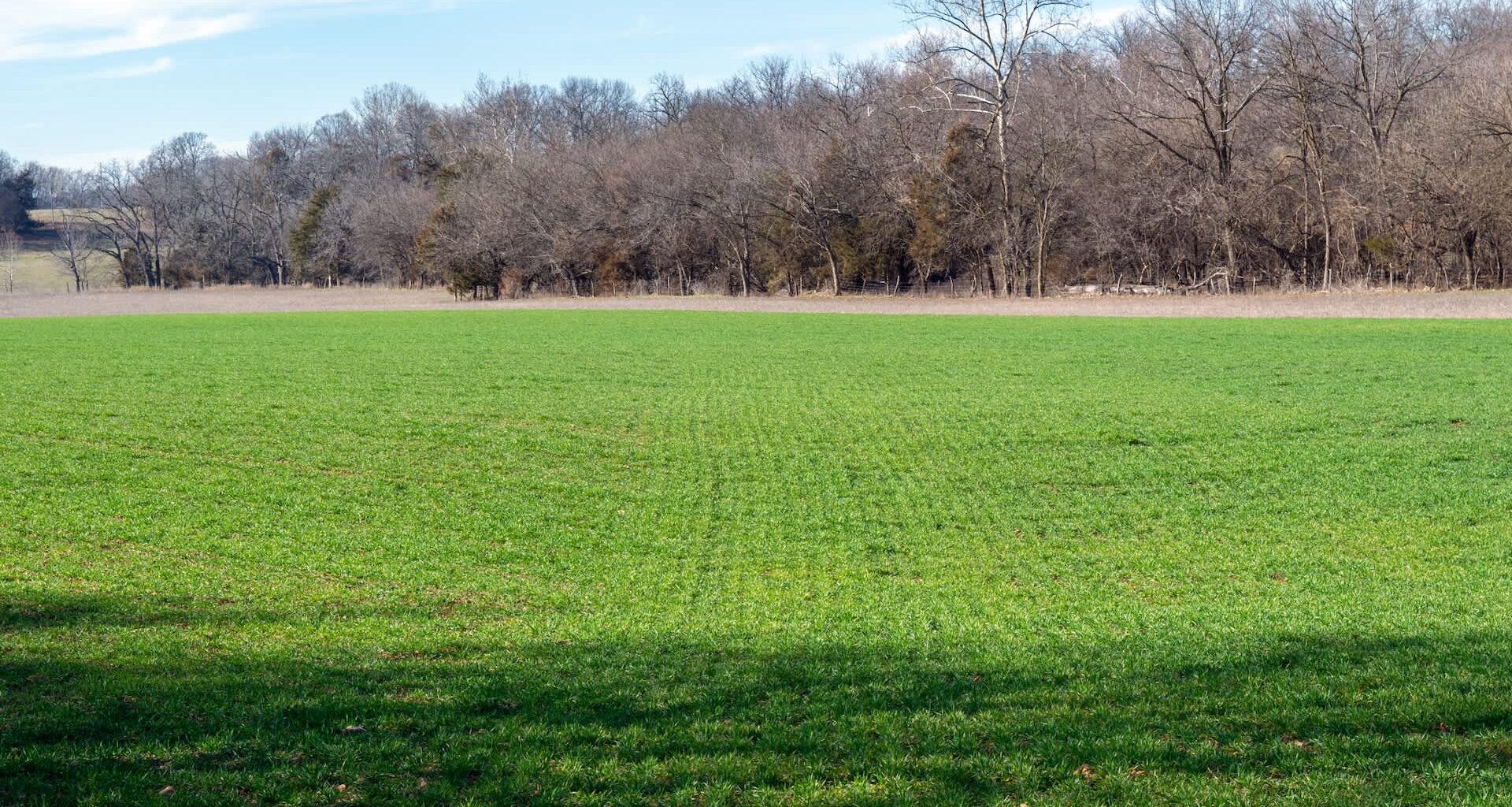A trail camera in northwest Missouri recently caught a rare glimpse of a mountain lion — one of only four confirmed sightings in the region over the past four years.