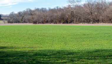 A trail camera in northwest Missouri recently caught a rare glimpse of a mountain lion — one of only four confirmed sightings in the region over the past four years.