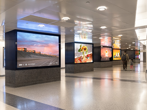 series of large photos in a NYC train station