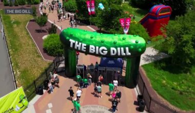 Arlington hosts ‘Big Dill’ pickle festival – NBC 5 Dallas-Fort Worth