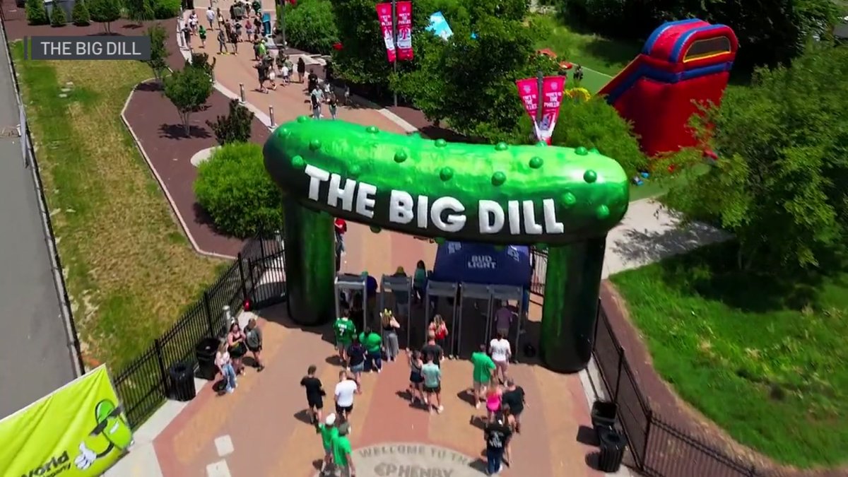 Arlington hosts ‘Big Dill’ pickle festival – NBC 5 Dallas-Fort Worth