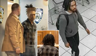 NYC sicko Eric McMichael arraigned in Brooklyn court for raping 12 year old girl