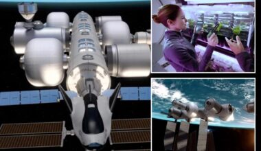 Jeff Bezos wants to send people to live in space — here's what it would look like