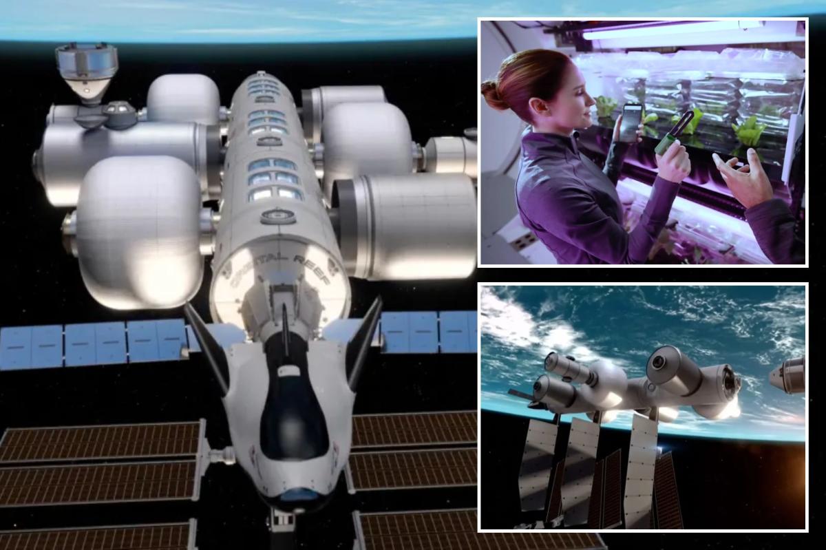 Jeff Bezos wants to send people to live in space — here's what it would look like