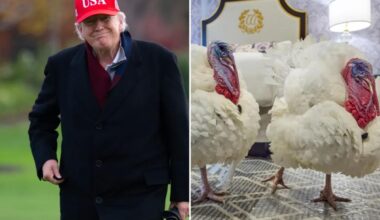 Trump admin: Turkey pardons, Ukraine peace plan, more