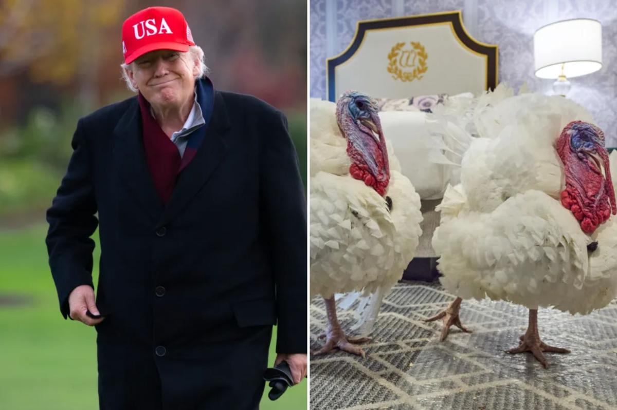 Trump admin: Turkey pardons, Ukraine peace plan, more