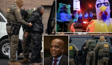 Chicago Judge Jeffrey Cumming released over 600 illegal immigrants called activist by DHS