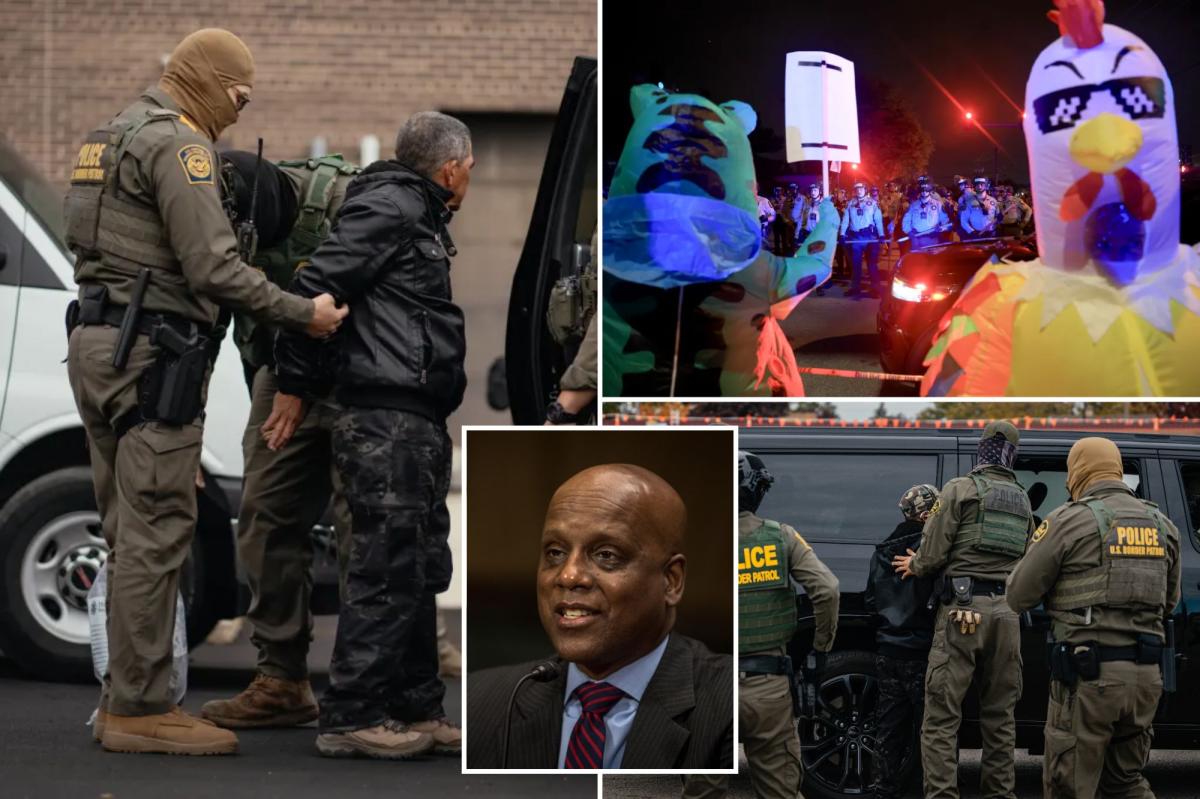 Chicago Judge Jeffrey Cumming released over 600 illegal immigrants called activist by DHS