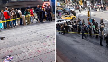 Victim stabbed twice in Times Square NYC in broad daylight, police say