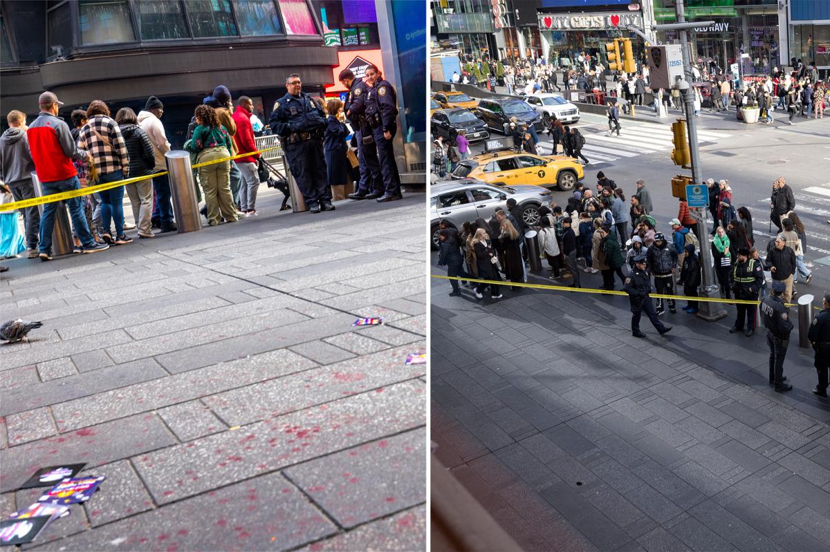 Victim stabbed twice in Times Square NYC in broad daylight, police say