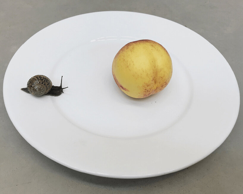 designboom radar november