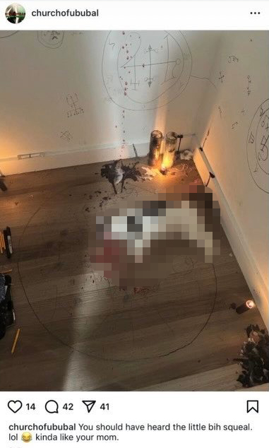 A dead cat on a wooden floor with blood, candles, and symbols drawn on the wall, in an Instagram post by “churchofububal” captioned “You should have heard the little bih squeal. lol 😂 kinda like your mom.”