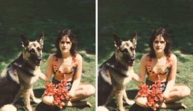 Dog Health Changes Vets Say You Shouldn't Ignore