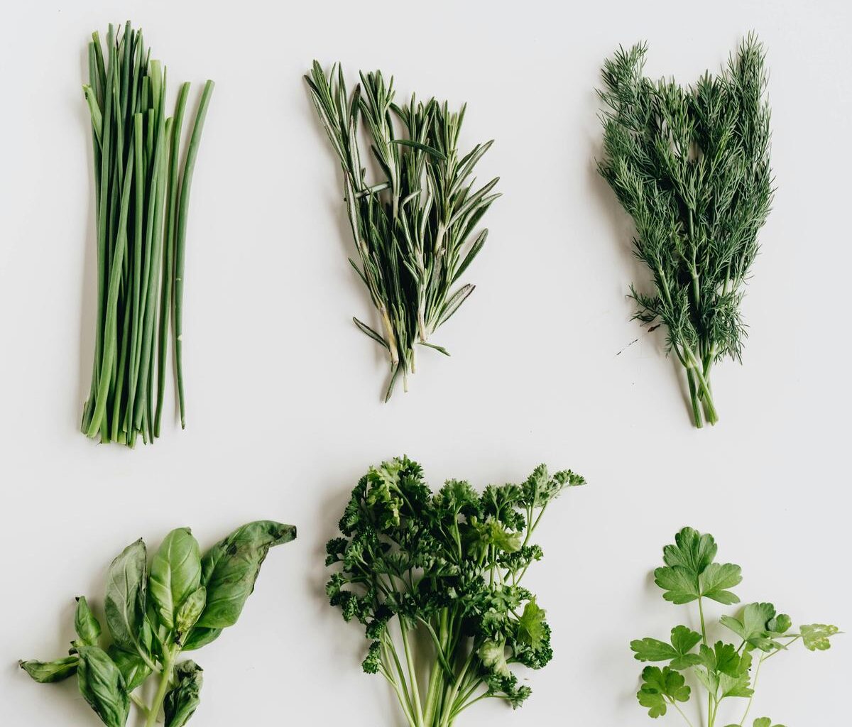 Polyphenols are the next big thing in nutrition — but what are they?