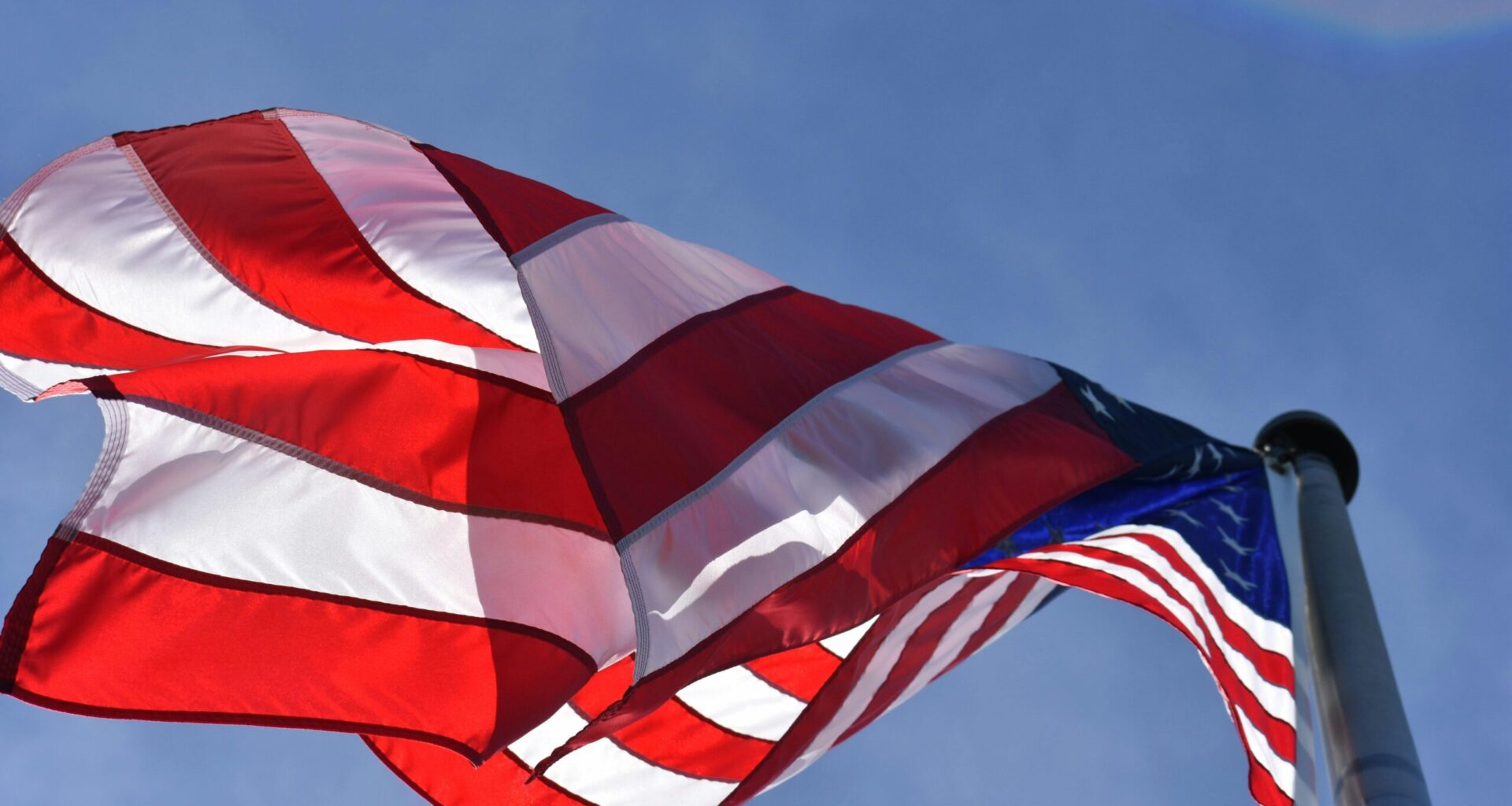 Surprise Veterans Day