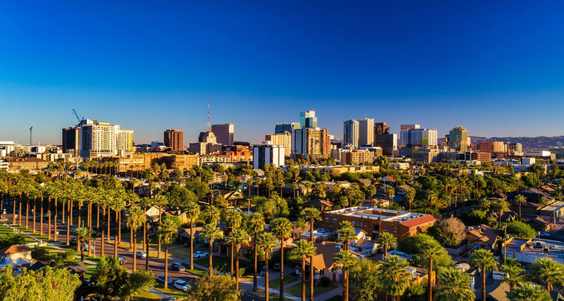 the phoenix skyline in daytime in 2025