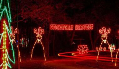 15 best Dallas events this Thanksgiving weekend (Nov 27-30)