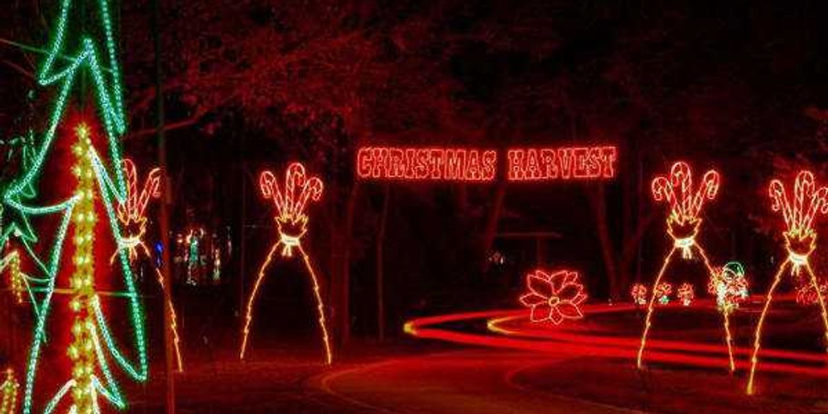 15 best Dallas events this Thanksgiving weekend (Nov 27-30)