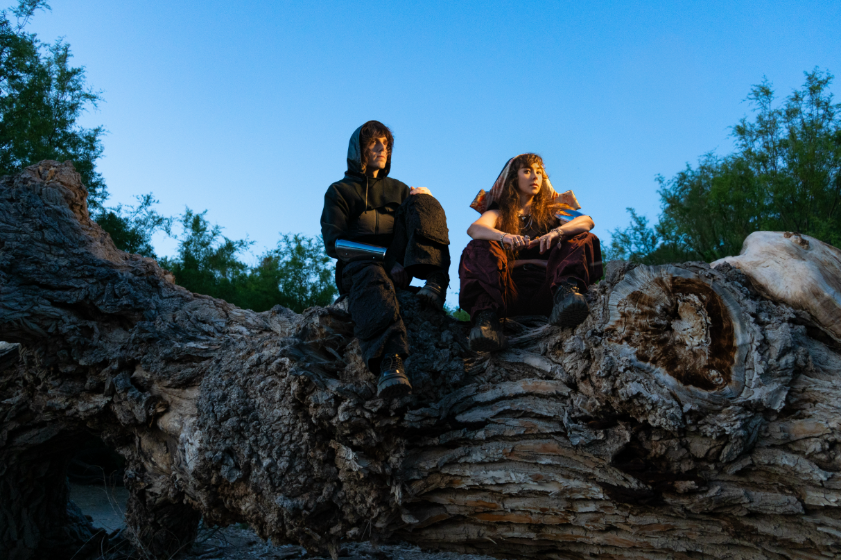 Band posing on a tree