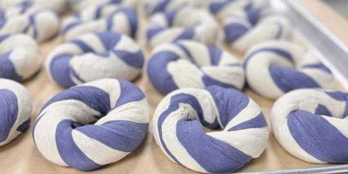 Acclaimed Dan's Bagels rolls out TCU location in Fort Worth