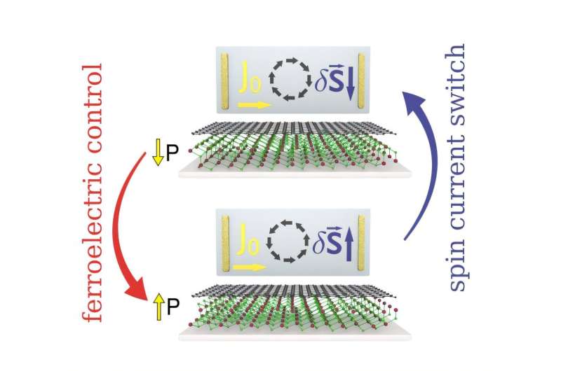 Researchers achieve electrical control of spin currents in graphene via ferroelectric switching