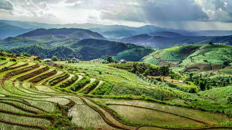 Credit: Unsplash/CC0 Public Domain rice fields