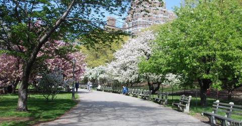 Upper East Side Neighborhood Event Calendar: Nov. 27- Dec. 3