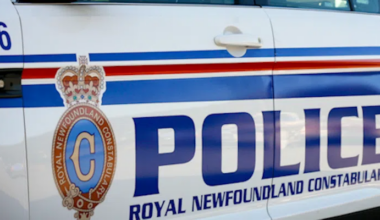 Man Facing Weapons Charges After Disturbance in Shea Heights