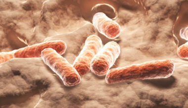 Researchers May Have Discovered a Natural Alternative to Ozempic : ScienceAlert