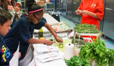 Board of Regents mandates 'climate' curricula as NY kids still struggle with math and reading