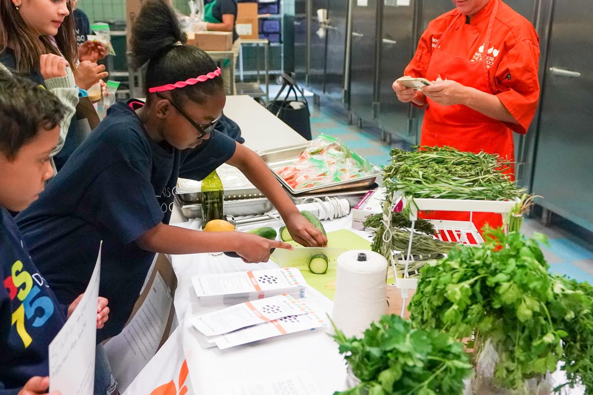 Board of Regents mandates 'climate' curricula as NY kids still struggle with math and reading