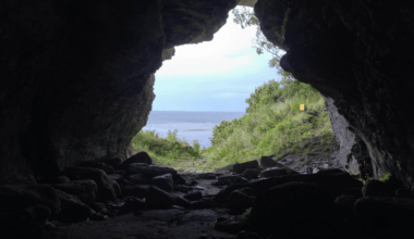 Scientists Stumble Upon Ancient Wolves On An Unexpected Remote Island!