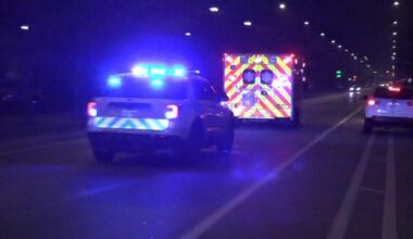 CPD officer accidentally shoots himself in the groin outside South Chicago District police station